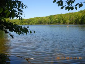 LHHT Lake Near Mile 14