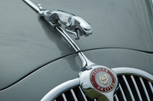 Jaguar Car