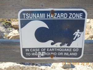 TSUNAMI AND EARTHQUAKE